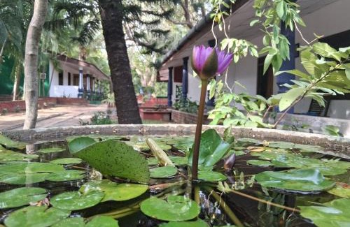 Moragaswewa Cabin | Eco Nature Rest