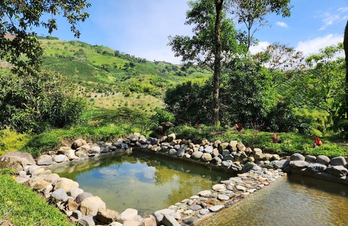 Chinchina Villa | Eco-Paradise in Coffee Heartland