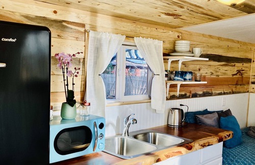 Arcata Cabin | Eco Retreat in Quiet Arcata Neighborhood with a private courtyard & kitchenette