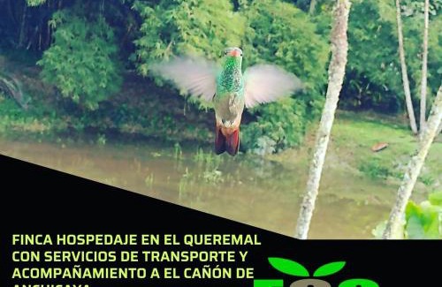 Dagua House | Ecopolis finca