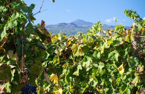Castiglione di Sicilia Cottage | Ecorural Etna suite