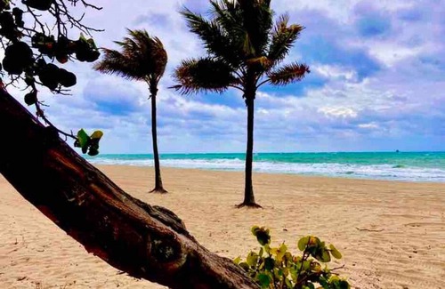 Hendricks and Venice Isles House | Efficiency 2 on water las olas/beach free kayaks