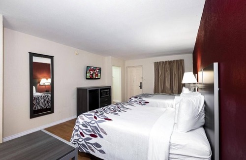 Houston Hotel | Efficient Comfort Close to Houston's Attractions, Perfect for Budget Travelers