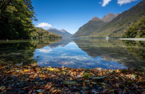 Te Anau Downs Other | Eglinton Valley Camp