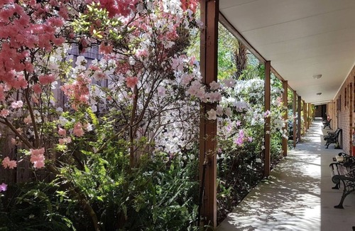 Eildon House | Eildon Parkview Motor Inn. Room 8