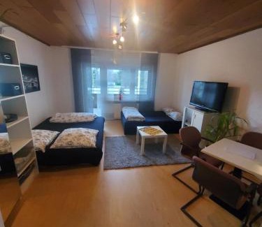 Mietersheim Apartment | Einzimmerwohnungmit großem Balkon