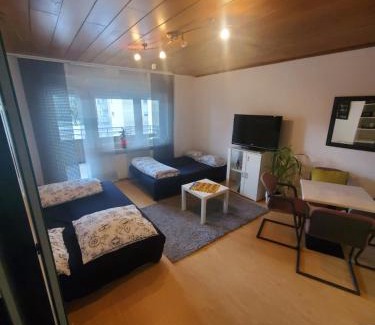 Mietersheim Apartment | Einzimmerwohnungmit großem Balkon