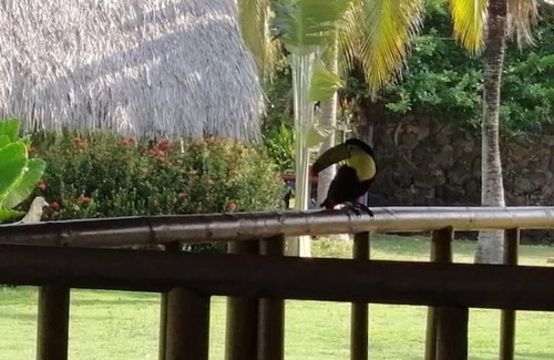 Monitos House | El Laguito Beach House, Pool and Beach Kiosk.