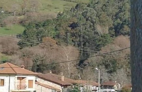 Santa Maria de Cayon Apartment | El Pajar, rustic apt. & gardens with sheep & hens