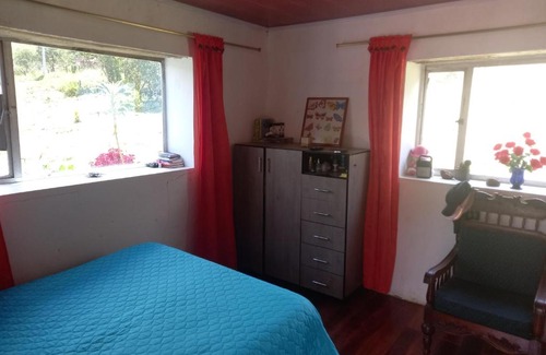 Gacheta Other | El tesoro de pauso