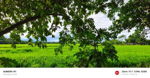 Granada Apartment | El Triunfo