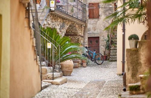 Cassone House | EL VOLT