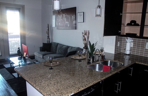 Midtown Apartment | Elite Skyline view apartment with AC, fitness room, WiFi in vibrant Houston Tx