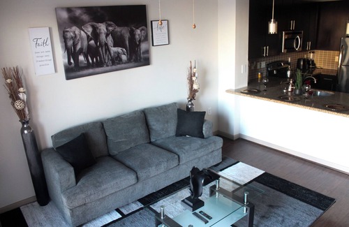 Midtown Apartment | Elite Skyline view apartment with AC, fitness room, WiFi in vibrant Houston Tx