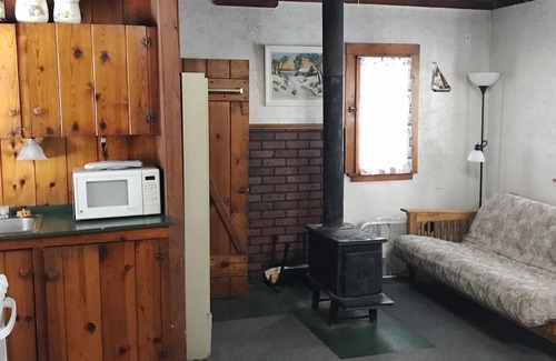 Grawn Cabin | Ellis Lake Resort - Elm Log Cabin-Interlochen/Traverse City