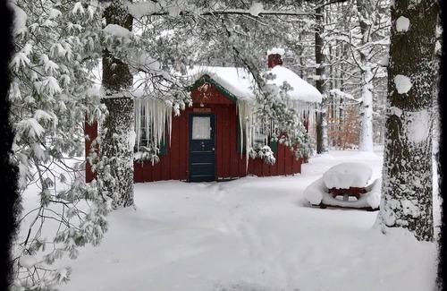 Grawn Cabin | Ellis Lake Resort - Elm Log Cabin-Interlochen/Traverse City