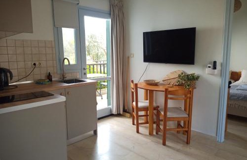 Kalyves Apartment | Elysian Garden
