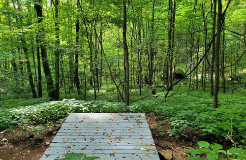 Marshall House | Elysium Falls deep in the Laurels