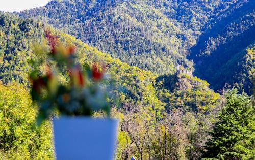 Likani Hotel | Emerald Borjomi Hotel
