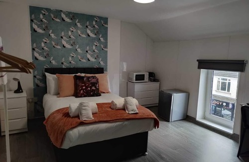 St. Thomas Apartment | En-Suite Double Room, Microwave & Fridge, Smart TV