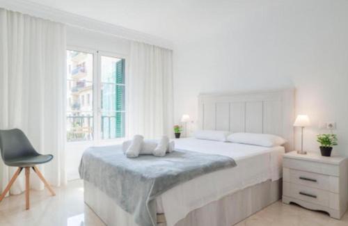 La Goleta Apartment | Encantador y espacioso apartamento de 4 habitaciones y balcones en el centro histórico ubicación inmejorable