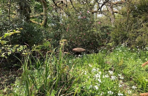 Bude Cabin | Enchanting Hand Painted Tabernacle with Hot Tub