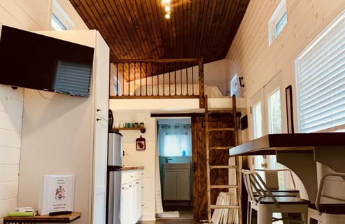Clover Cabin | Enjoy Quiet and tranquility 2 private wooded acres!