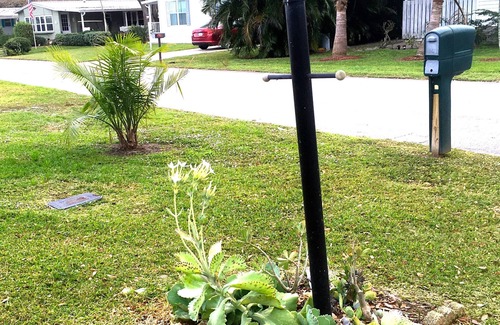 Barefoot Bay House | Enjoy the sun and fun in beautiful Sebastian, Florida