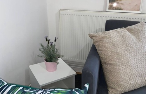 Stockwell Apartment | Entire Grand Apt - Centrally Located - Long Stay Discount - Parking