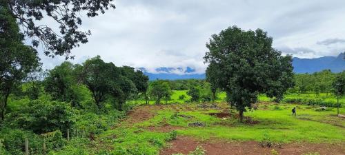 Murbad Other | Entire Private Farm on Rent 2 Acre with 3 Room, it's Kittu's Farm