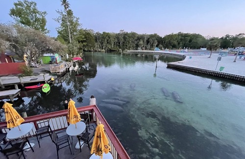 Weeki Wachee Gardens House | EPIC Weeki Wachee paddle house included paddleboards and kayaks!