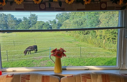 Mablethorpe Cabin | Equestrian Retreat - Sleeps 6 & Bbq