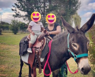 Saint-Mariens House | Equizen33 maison zen et ressourçante