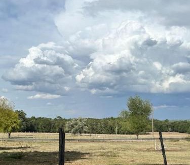 Saint-Mariens House | Equizen33 maison zen et ressourçante