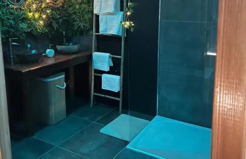 Loon-Plage House | Escapade Zen Oasis Tropicale Spa Privatif