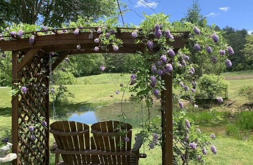 Blairsville Cottage | Escape to a Pet-Friendly Cabin near Helen, Blue Ridge & Appalachian Trail