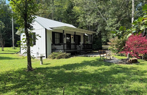Blairsville Cottage | Escape to a Pet-Friendly Cabin near Helen, Blue Ridge & Appalachian Trail