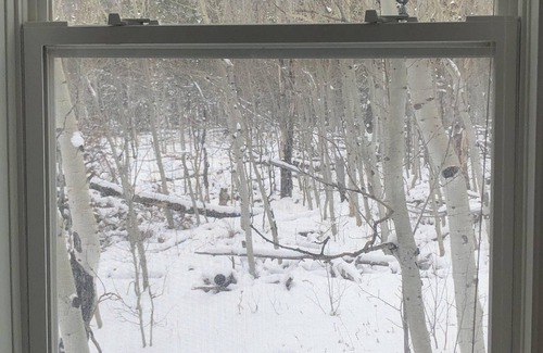 Crystal Lake House | Escape to Black Bear Hollow~Secluded in a Beautiful Aspen Grove & Dog Friendly!