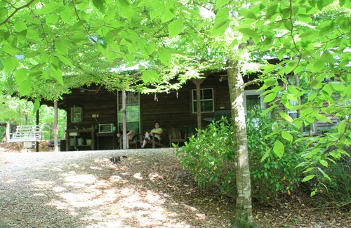 Roxie Cabin | Escape to the peace and quiet of the forest. No planes, trains, highway noise