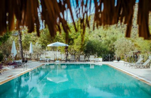 Olympos Hotel | Eski Yeni Tatil Evi Olympos