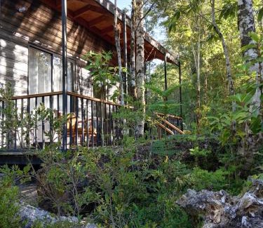 Puerto Montt Apartment | Espacio bosque la quemada