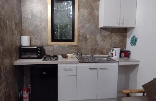 Puerto Montt Apartment | Espacio bosque la quemada