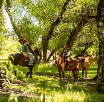 Norquin Department Hotel | Estancia Chochoy Mallin Lodge ALL INCLUSIVE