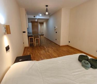 San Lazaro y Otero Apartment | Estudio Céntrico A53