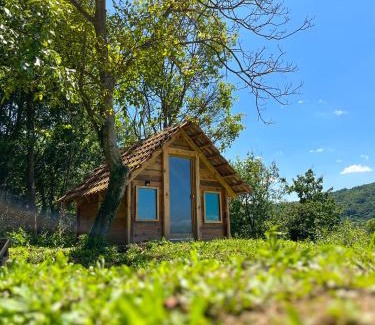 Central Serbia Other | Etno kuca MALAJAC