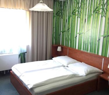 Nyiregyhaza Hotel | Europa Hotel És Étterem