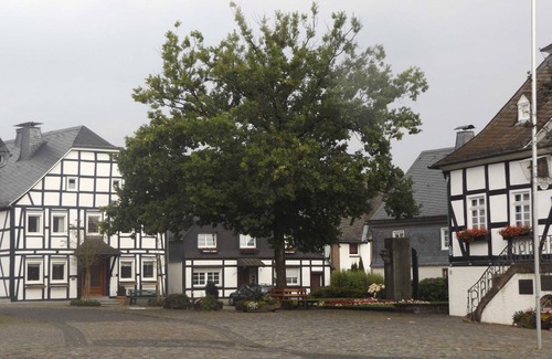 Eversberg Apartment | Eversberg 3 - Holiday apartment/Assembly Meschede-Eversberg