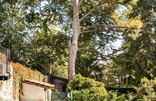 Cissano Villa | Exceptional 4½-room house with spacious outdoor area and pool