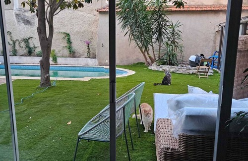 Cite House | Exceptional house in the center of Narbonne with garden and pool