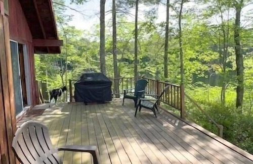 South Casco Cabin | Exclusive private island cabin sleeps 6